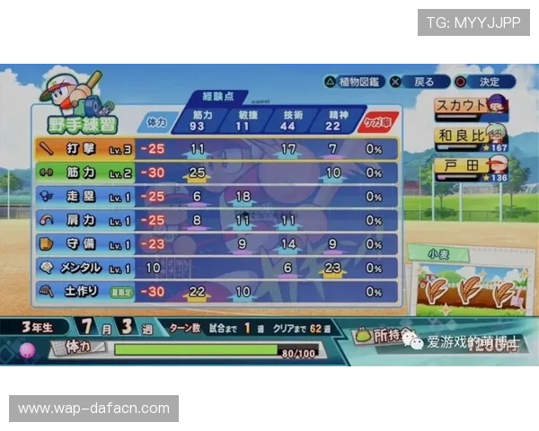 百家乐大发体育新手入门指南详细步骤帮助新玩家快速掌握游戏技巧与规则